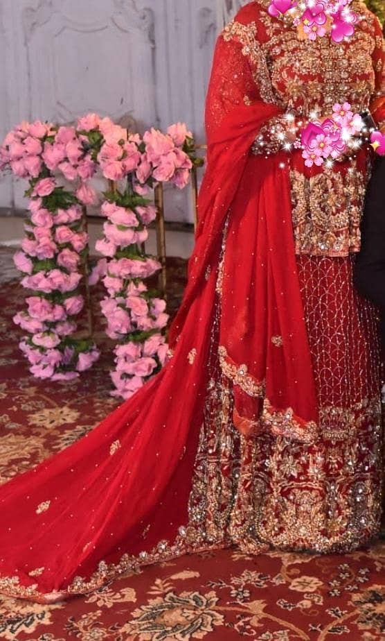 Bridle lehnga used_heavy embroidery wedding lehnga dress/party wear 3