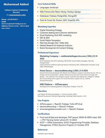 Software Engineer (website Developer and marketing expert )