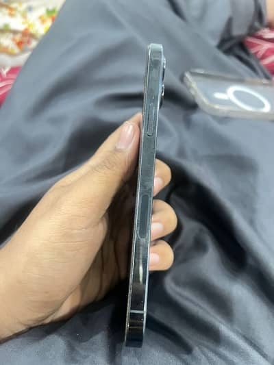 Iphone 12 Pro Max Pta Approved