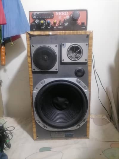 speaker and amplifier