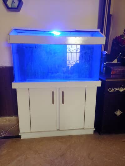 Fish Equireum with Water filter and Heater