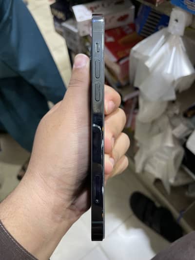 Ip 12 pro pta approved