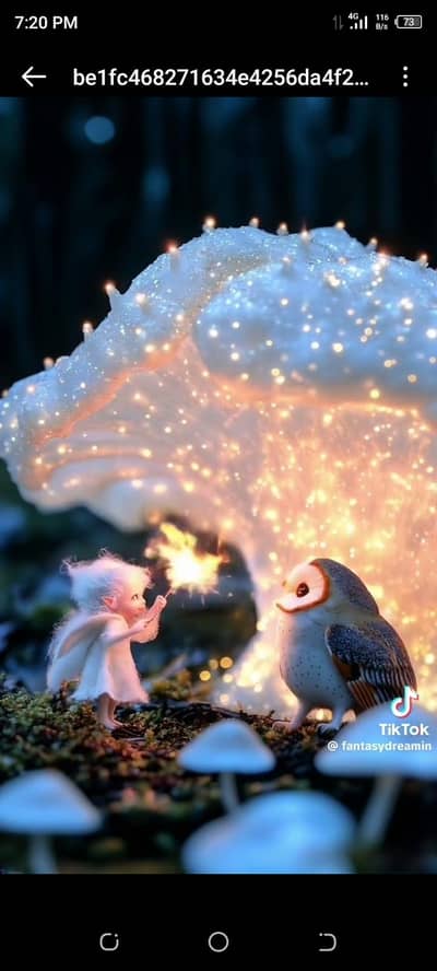 pick ad drop service for bike  available