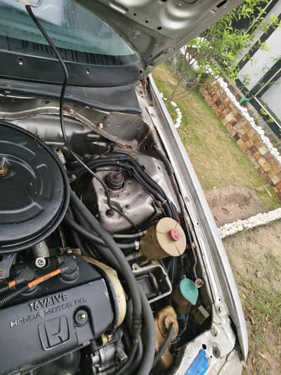 motifi car all ok new allow rim