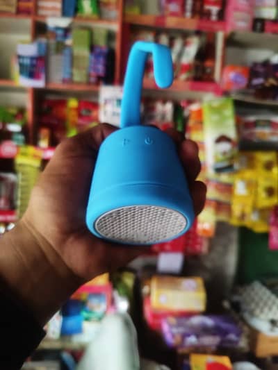 Polk boom swimmer jr speaker