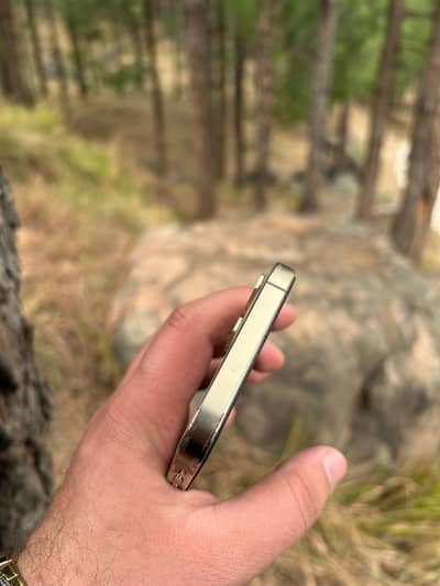 i phone 12 pro Golden colour 128GB Non pta All OK. . .