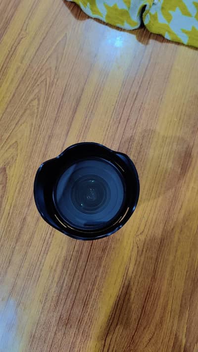 Sigma lens for Sony