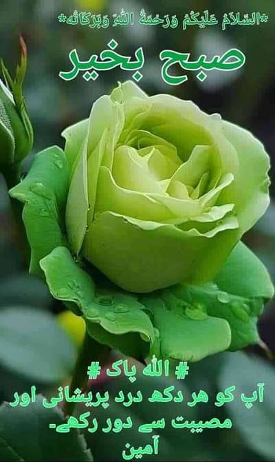 Muhammad Junaid