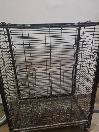 parrot cage
