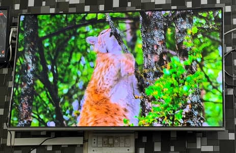 TCL led for sale 55 inches