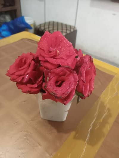 job for felmales in sahiwal baise whatsapp 03151040013