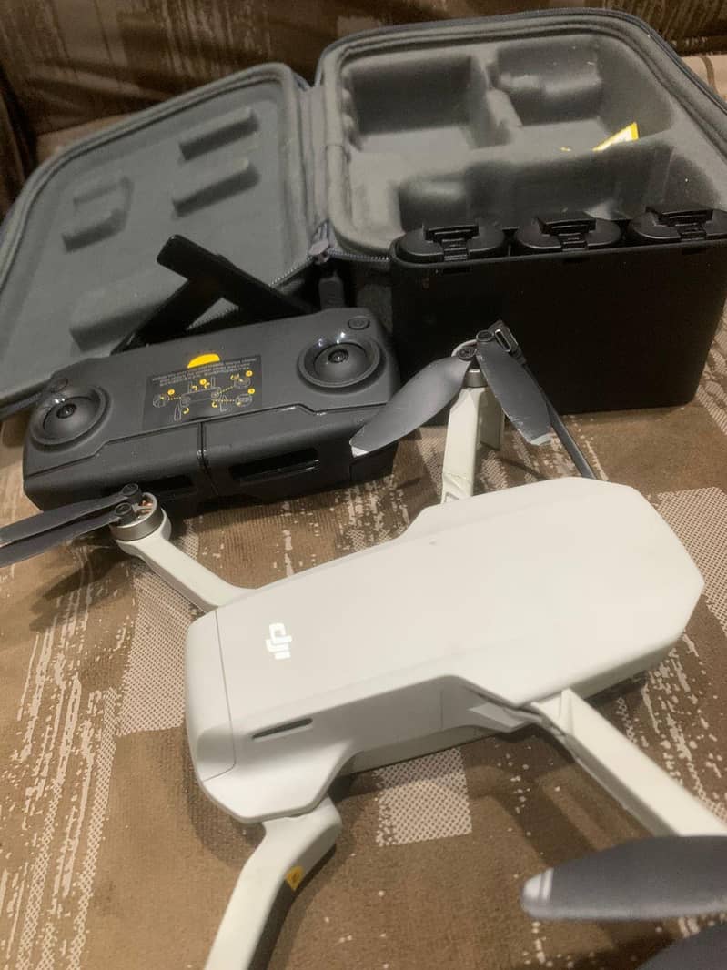 mavic mini 1