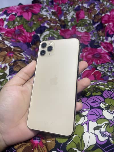 Iphone 11 pro Max | Factory Unlock | 64 GB | Panel Change