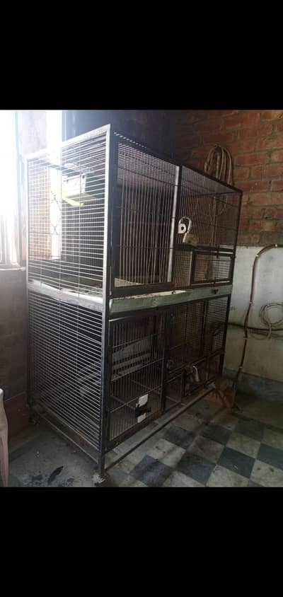 kisi bi Bird k liye istamal hu sakta he