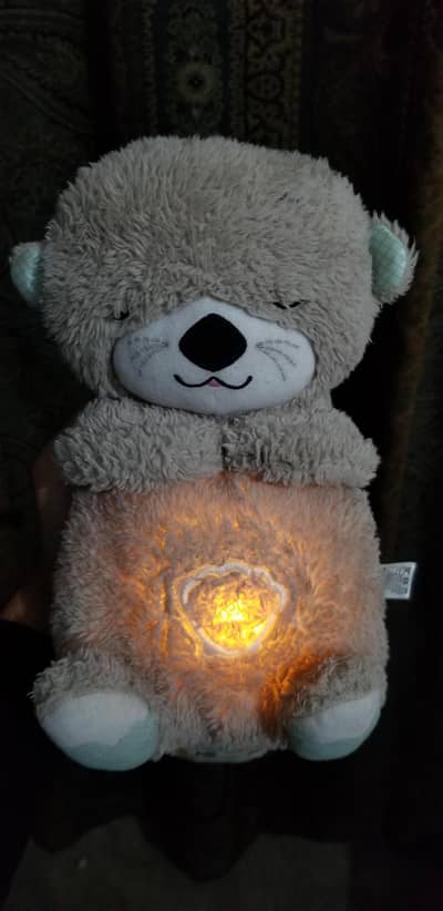 Teddy bear special music +light