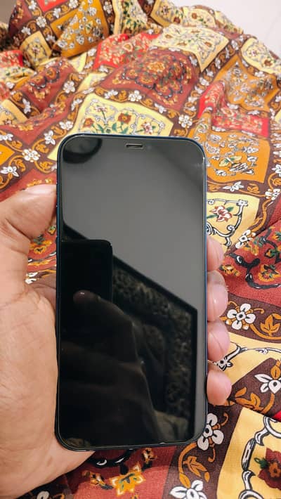 Iphone 12 64gb Jv 10/10 Waterpack (Read Add)