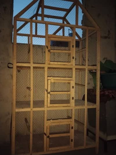 one cage for parrot with out use