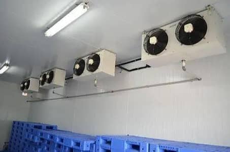 cold storage,room,quick freezer, chiller,walk in store, container cool
