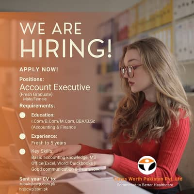 Accountant