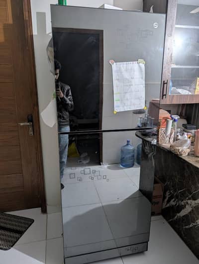 PEL double door glass fridge