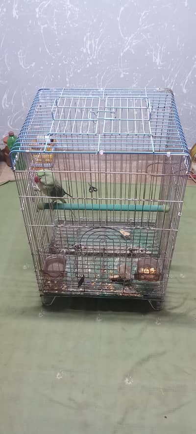 cage for sell achi coulty ka he