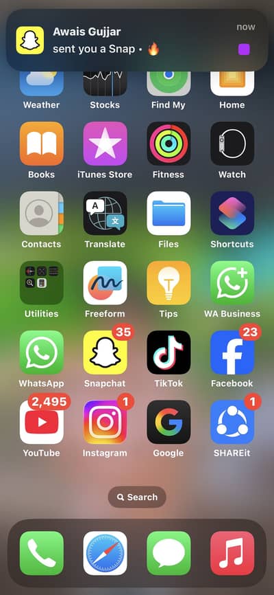 Apple iPhone X bypass 256