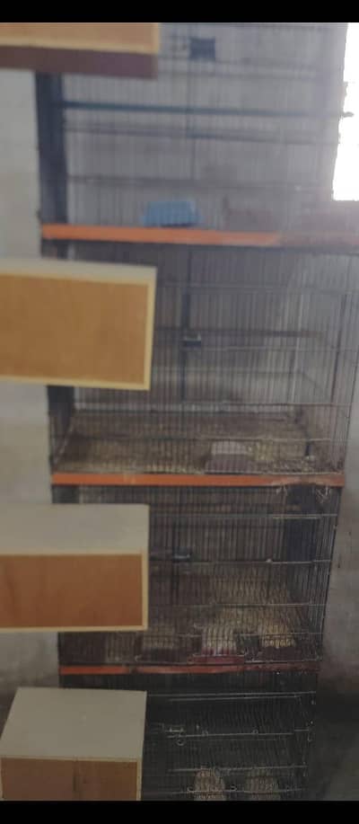 4 portion foolding cage for sale