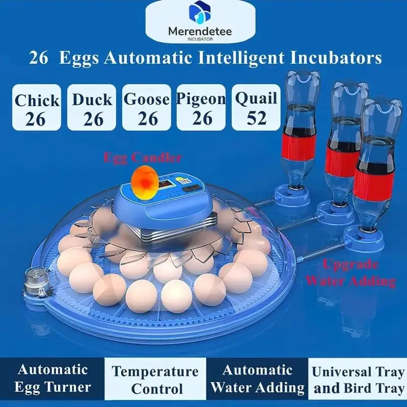 Automatic & Semi auto Incubators |Brooders machines wholesale — photo 6