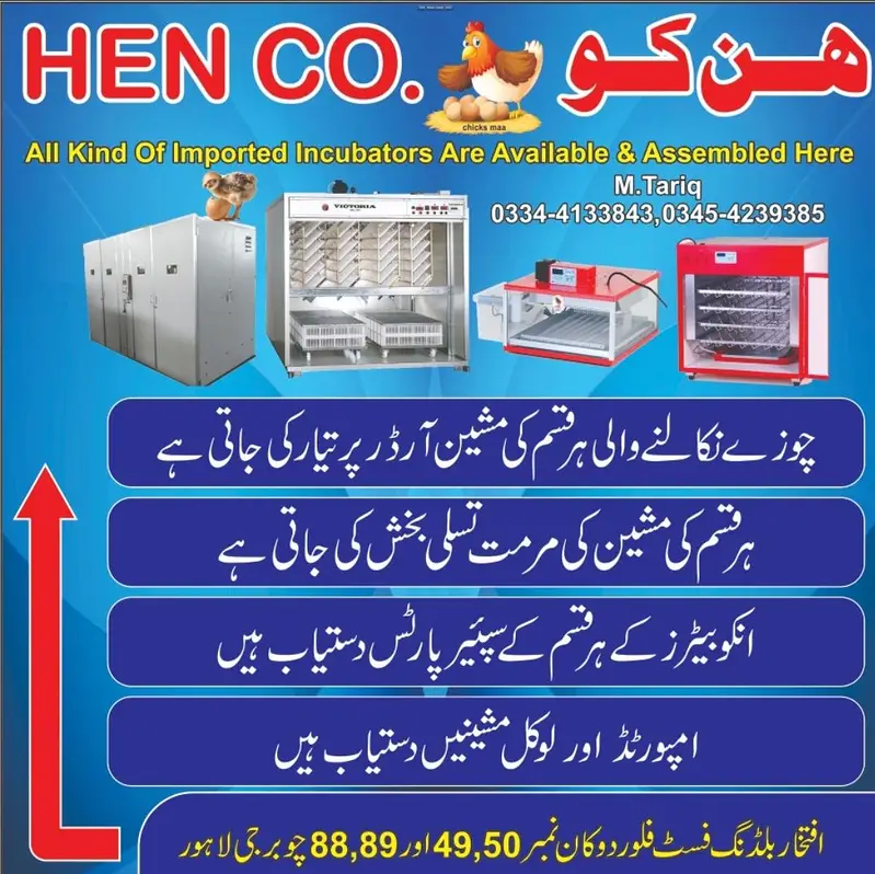Automatic & Semi auto Incubators |Brooders machines wholesale — photo 7