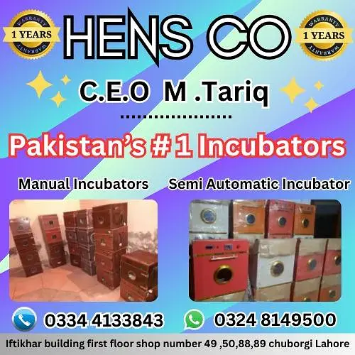 Automatic & Semi auto Incubators |Brooders machines wholesale — photo 8