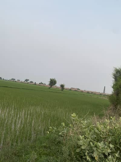 25 acres agricultural/industrial/farm land for sale