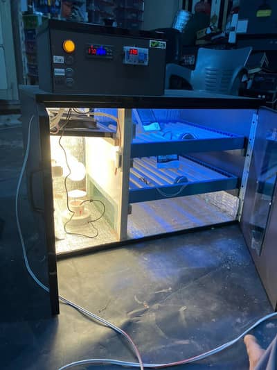Egg incubator / Eggs incubator / eggs machine / incubator