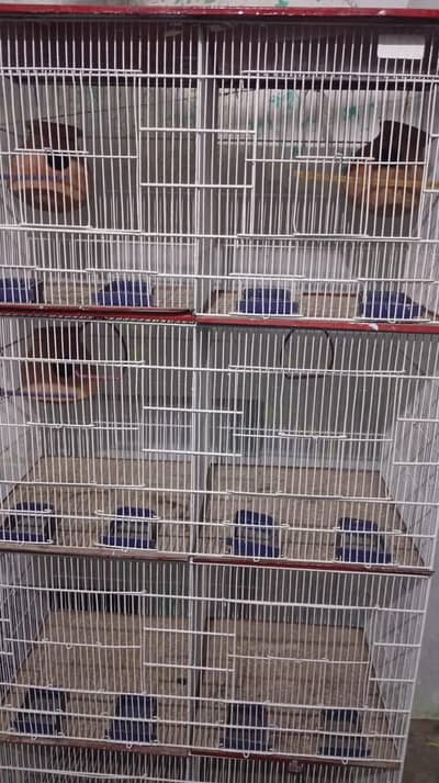 8 portions of cage for sale