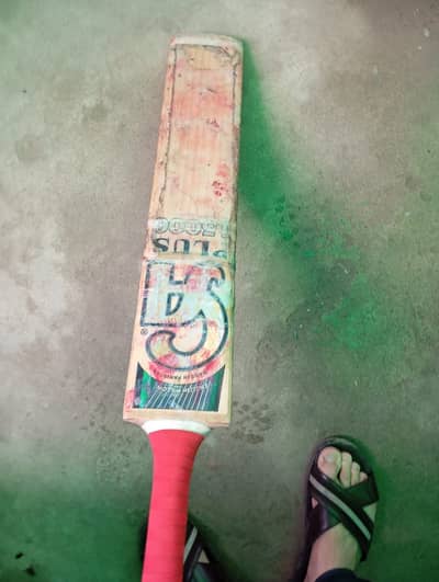 Original CA Hard Ball Cricket Bat – Premium Quality