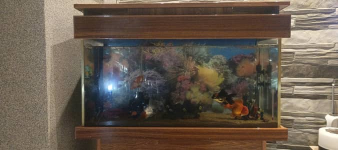 3 ft Aquarium only 10 days used