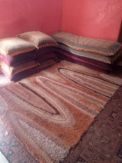 6 big floor cushions 4 triple size floor cushions and luxury carpet i