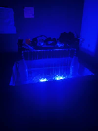 by this project plzz