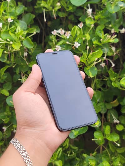 Want to sale iphone 12 minj