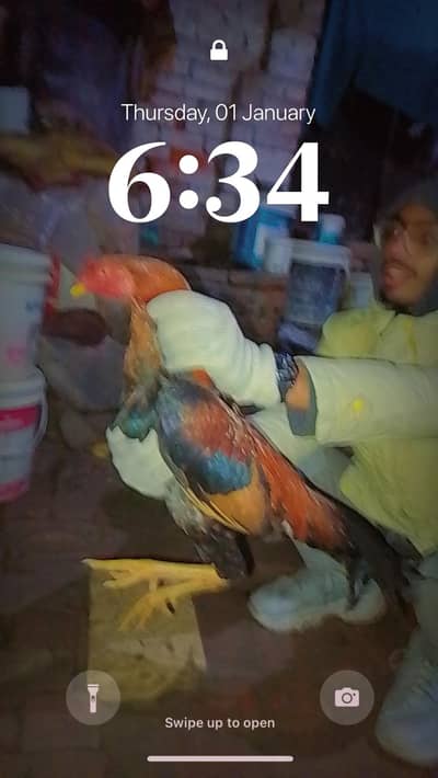 urgent sale kar Raha ho