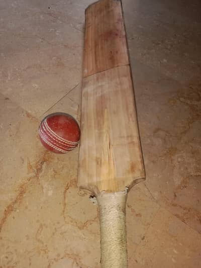 cricket bat Kashmir willow 8 grains