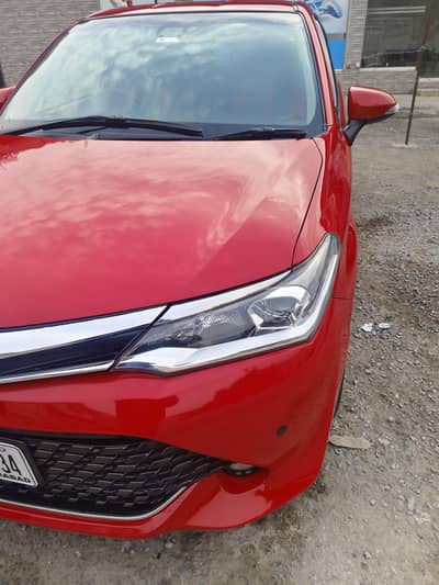 fielder wxb 2015/2019