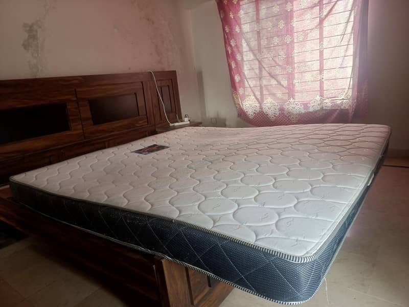 Alizeh Posture Plus Mattress 0