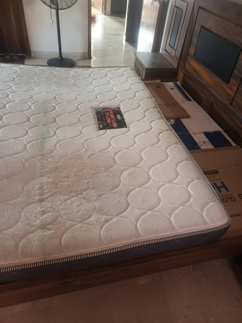 Alizeh Posture Plus Mattress 2