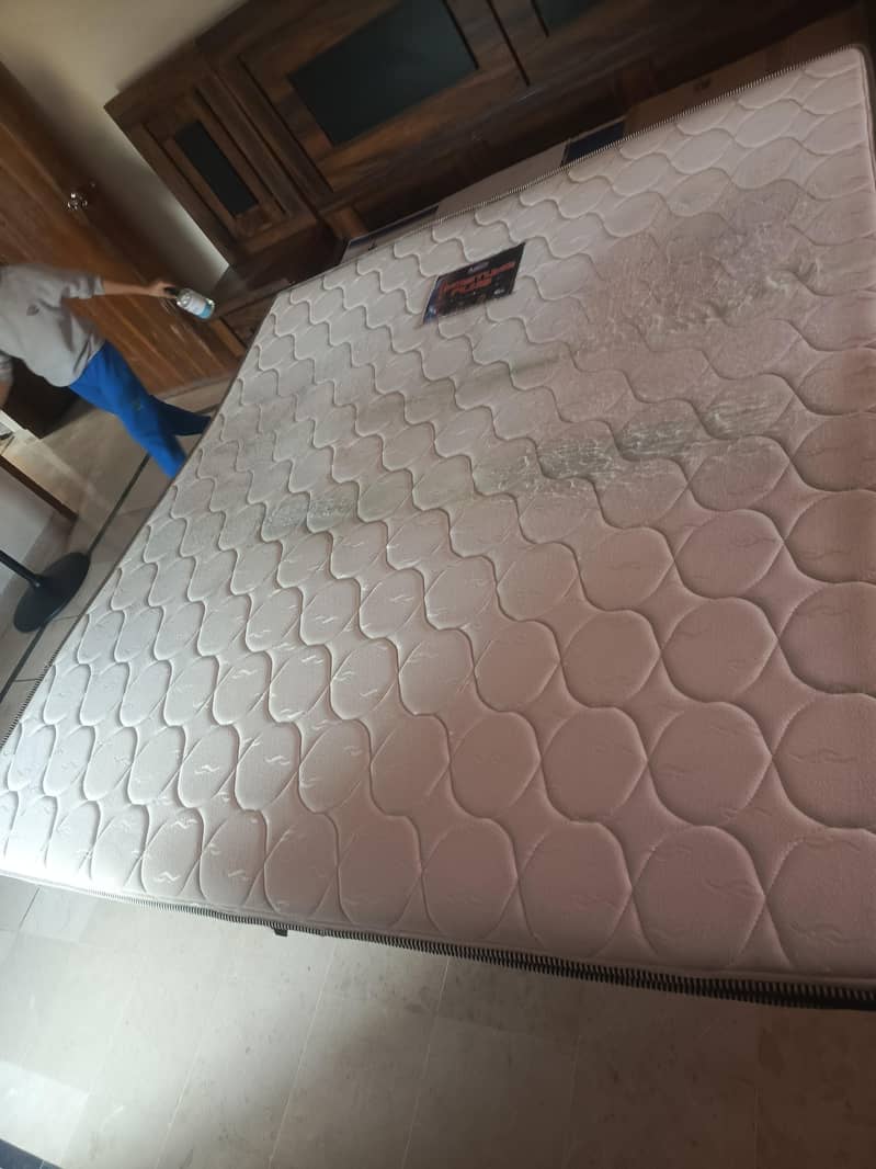 Alizeh Posture Plus Mattress 3