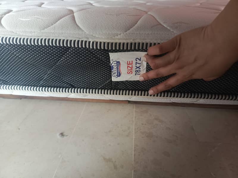 Alizeh Posture Plus Mattress 4