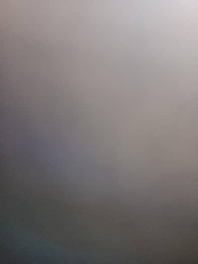 Female Manager Required