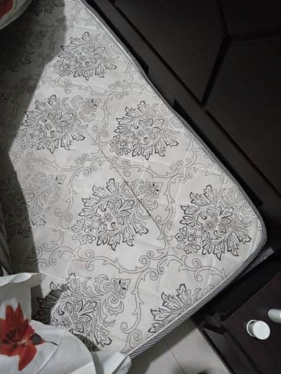 fome medicated matrus