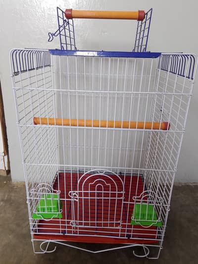 Green parrot+ new cage for sale