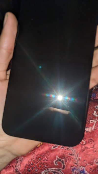 iphone 14 pro max display