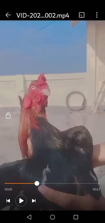 for sale wattsapp number 03404092693 is number par rabta kara